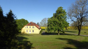 Gut-Rattelvitz-Galerie-D-hochwertig-Sauna-Kamin-eTankstelle-Spielscheune-15-000qm-Parkland in Gingst